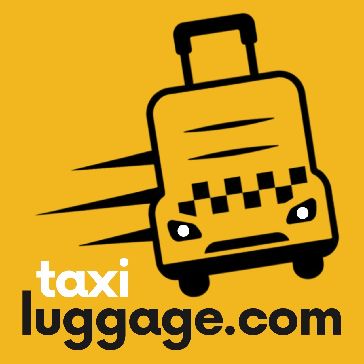 TAXI LUGGAGE